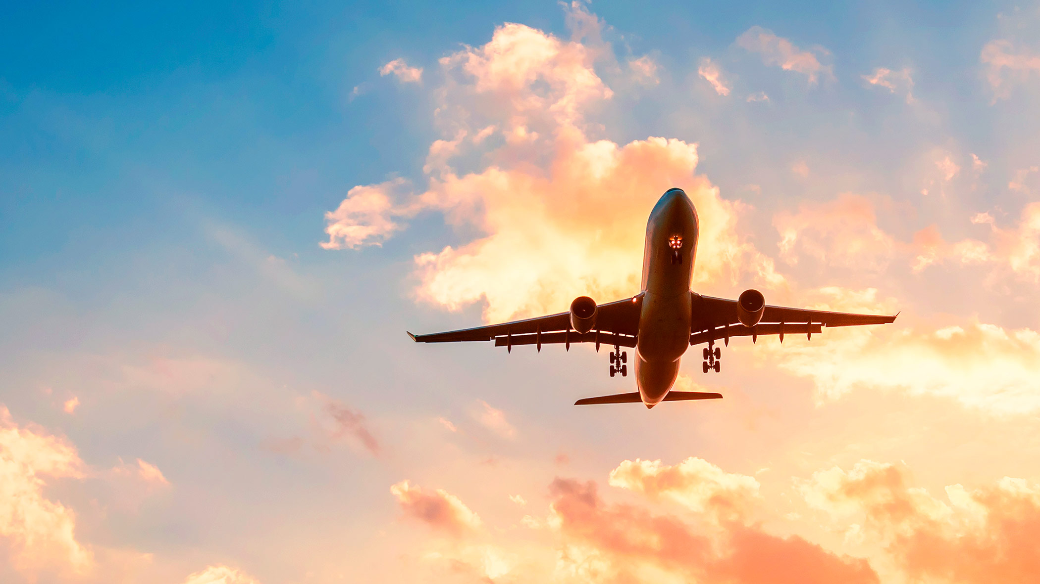 Turizm Xidmətləri 